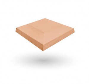 SALMÓN